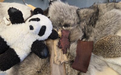 Külas käsitöömeister Maarja Koivuoja