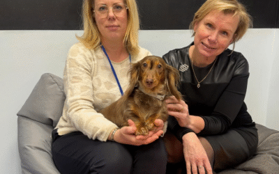 Lugemiskoerte programmiga on liitunud Paide Hammerbecki Põhikool!