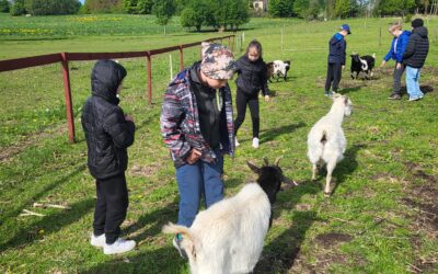 1.c ja 1.d klass kevadisel õppekäigul